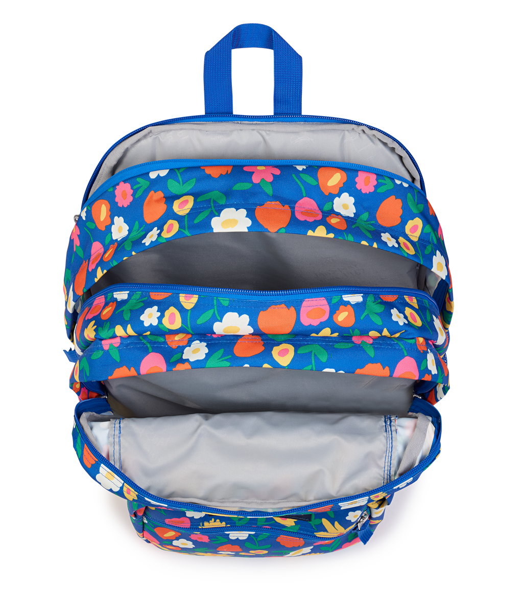 Big Student
